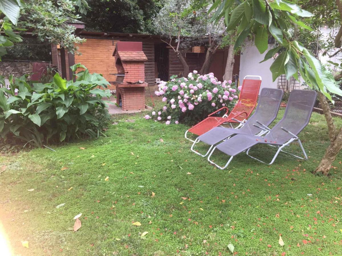 Apartments In Premantura/Istrien 34773 Εξωτερικό φωτογραφία
