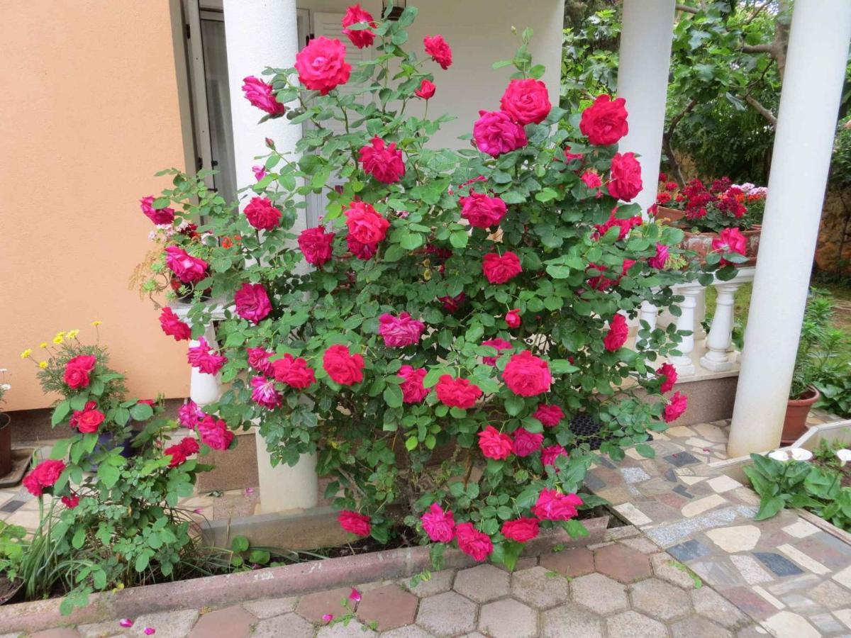 Apartments In Premantura/Istrien 34773 Εξωτερικό φωτογραφία
